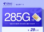 电信梦广卡【285G+100分钟仅发广东省内】